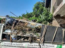 Best Attic Cleanout  in Georgetown, OH